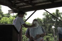 IMG_3201